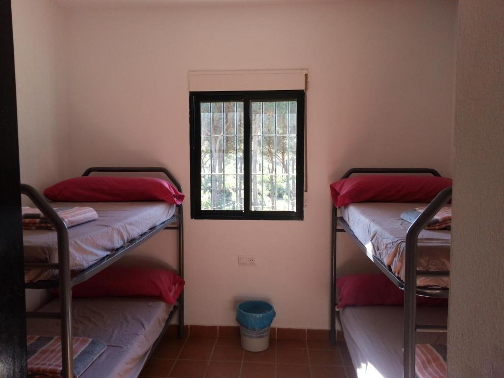 Albergue Rural Territorio Del Gato El Rompido Pokoj fotografie